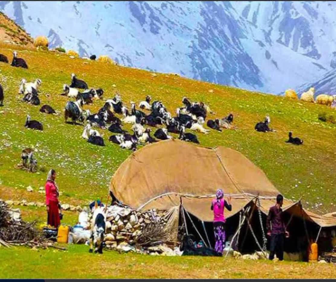 سیاه چادر عشایر